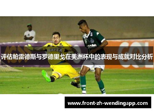 评估帕雷德斯与罗德里戈在美洲杯中的表现与成就对比分析