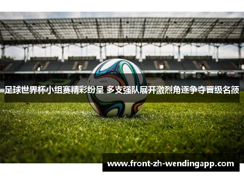 足球世界杯小组赛精彩纷呈 多支强队展开激烈角逐争夺晋级名额