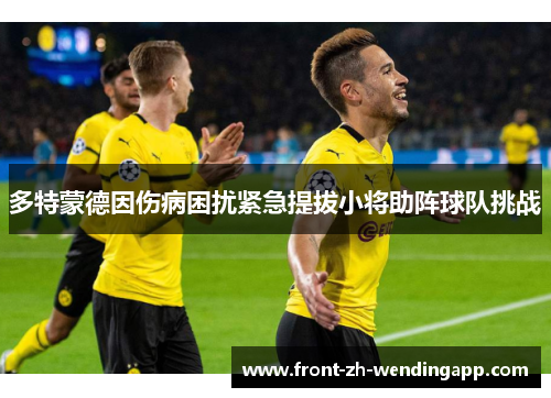 多特蒙德因伤病困扰紧急提拔小将助阵球队挑战 多特蒙德因伤病困扰紧急提拔小将助阵球队挑战