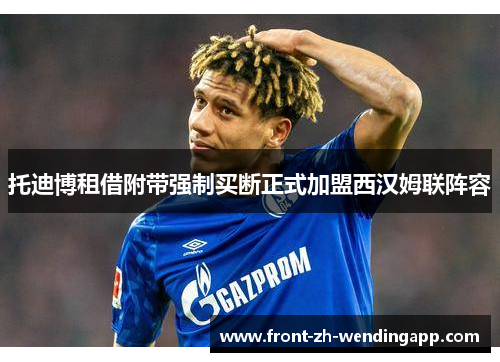 托迪博租借附带强制买断正式加盟西汉姆联阵容