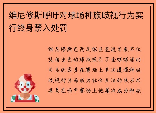 维尼修斯呼吁对球场种族歧视行为实行终身禁入处罚