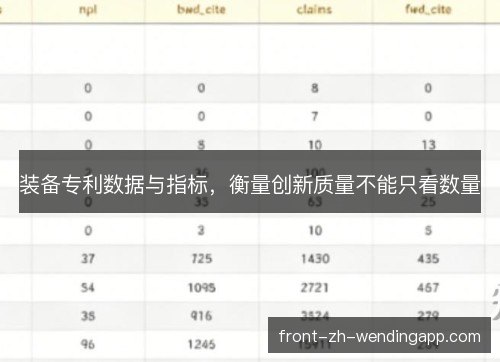 装备专利数据与指标,衡量创新质量不能只看数量 装备专利数据与指标,衡量创新质量不能只看数量